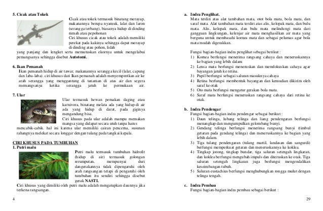 Materi ipa kelas 6 sd pdf