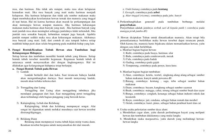 Rangkuman Materi Ipa Kelas 6 Sd