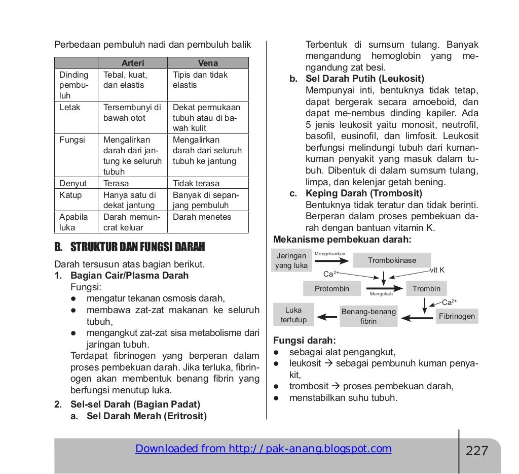 Rangkuman materi un ipa smp (fisika, biologi, dan kimia