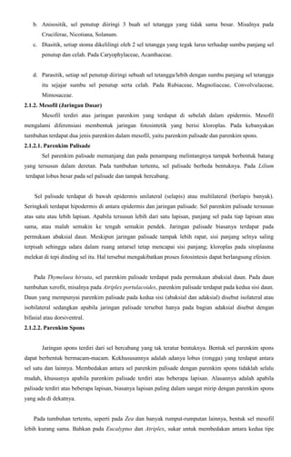 b. Anisositik, sel penutup diiringi 3 buah sel tetangga yang tidak sama besar. Misalnya pada
Cruciferae, Nicotiana, Solanum.
c. Diasitik, setiap stoma dikelilingi oleh 2 sel tetangga yang tegak lurus terhadap sumbu panjang sel
penutup dan celah. Pada Caryophylaceae, Acanthaceae.
d. Parasitik, setiap sel penutup diiringi sebuah sel tetangga/lebih dengan sumbu panjang sel tetangga
itu sejajar sumbu sel penutup serta celah. Pada Rubiaceae, Magnoliaceae, Convolvulaceae,
Mimosaceae.
2.1.2. Mesofil (Jaringan Dasar)
Mesofil terdiri atas jaringan parenkim yang terdapat di sebelah dalam epidermis. Mesofil
mengalami diferensiasi membentuk jaringan fotosintetik yang berisi kloroplas. Pada kebanyakan
tumbuhan terdapat dua jenis parenkim dalam mesofil, yaitu parenkim palisade dan parenkim spons.
2.1.2.1. Parenkim Palisade
Sel parenkim palisade memanjang dan pada penampang melintangnya tampak berbentuk batang
yang tersusun dalam deretan. Pada tumbuhan tertentu, sel palisade berbeda bentuknya. Pada Lilium
terdapat lobus besar pada sel palisade dan tampak bercabang.
Sel palisade terdapat di bawah epidermis unilateral (selapis) atau multilateral (berlapis banyak).
Seringkali terdapat hipodermis di antara epidermis dan jaringan palisade. Sel parenkim palisade tersusun
atas satu atau lebih lapisan. Apabila tersusun lebih dari satu lapisan, panjang sel pada tiap lapisan atau
sama, atau malah semakin ke tengah semakin pendek. Jaringan palisade biasanya terdapat pada
permukaan abaksial daun. Meskipun jaringan palisade tampak lebih rapat, sisi panjang selnya saling
terpisah sehingga udara dalam ruang antarsel tetap mencapai sisi panjang; kloroplas pada sitoplasma
melekat di tepi dinding sel itu. Hal tersebut mengakibatkan proses fotosintesis dapat berlangsung efesien.
Pada Thymelaea hirsuta, sel parenkim palisade terdapat pada permukaan abaksial daun. Pada daun
tumbuhan xerofit, misalnya pada Atriplex portulacoides, parenkim palisade terdapat pada kedua sisi daun.
Daun yang mempunyai parenkim palisade pada kedua sisi (abaksial dan adaksial) disebut isolateral atau
isobilateral sedangkan apabila jaringan palisade tersebut hanya pada bagian adaksial disebut dengan
bifasial atau dorsiventral.
2.1.2.2. Parenkim Spons
Jaringan spons terdiri dari sel bercabang yang tak teratur bentuknya. Bentuk sel parenkim spons
dapat berbentuk bermacam-macam. Kekhususannya adalah adanya lobus (rongga) yang terdapat antara
sel satu dan lainnya. Membedakan antara sel parenkim palisade dengan parenkim spons tidaklah selalu
mudah, khususnya apabila parenkim palisade terdiri atas beberapa lapisan. Alasannya adalah apabila
palisade terdiri atas beberapa lapisan, biasanya lapisan paling dalam sangat mirip dengan parenkim spons
yang ada di dekatnya.
Pada tumbuhan tertentu, seperti pada Zea dan banyak rumput-rumputan lainnya, bentuk sel mesofil
lebih kurang sama. Bahkan pada Eucalyptus dan Atriplex, sukar untuk membedakan antara kedua tipe
 