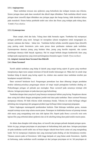 2.3.1. Angiospermae
Daun tumbuhan tersusun atas epidermis yang berkutikula dan terdapat stomata atau trikoma.
Sistem jaringan dasar pada daun monokotil dan dikotil dapat dibedakan. Pada tumbuhan dikotil sistem
jaringan dasar (mesofil) dapat dibedakan atas jaringan pagar dan bunga karang, tidak demikian halnya
pada monokotil. Sistem berkas pembuluh terdiri atas xilem dan floem yang terdapat pada tulang daun.
Contoh :Ficus elastica.
2.3.2. Gymnospermae
Daun sempit, tebal dan kaku. Tulang daun tidak beraneka ragam. Tumbuhan biji mempunyai
jaringan pembuluh yang rumit. Jaringan ini merupakan saluran menghantar untuk mengangkut air,
mineral, makanan dan bahan – bahan lain. Tumbuhan berbiji terbuka memiliki pigmen hijau (klorofil)
yang penting untuk fotosintesis yaitu suatu proses dasar pembuatan makanan pada tumbuhan.
Gymnospermae daunnya jarang yang berdaun lebar, jarang yang bersifat majemuk, dan system
pertulangan daunnya tidak banyak ragamnya. Hal ini sangat berbeda dengan karakteristik daun yang
terdapat pada angiospermae yang sistem pertulangannya beraneka ragam. Contoh :Pynus merkusii.
2.4. Adaptasi Anatomi daun Xeromorf dan Hidrofit
2.4.1. Daun Xeromorf
Xerofit adalah tumbuhan yang hidup di daerah yang sangat kering seperti di gurun yang membuat
transpirasinya dapat turun sampai minimum di bawah kondisi kekurangan air. Maka dari itu untuk tetap
bertahan hidup di daerah yang kering seperti itu, struktur atau anatomi daun tumbuhan tersebut pun
beradaptasi menjadi lebih khas.
Daun xeromorf berukuran kecil. Pengurangan permukaan luar daun dibarengi dengan perubahan
struktur dalamnya,misalnya pengurangan ukuran sel tetapi terjadi peningkatan ketebalan dinding sel.
Perkembangan jaringan sel palisade pun meningkat. Daun xeromorf pada umumnya tertutupi oleh
trikoma. Jaringan penyimpan air pada daun pun juga berkembang.
Tumbuhan dengan daun yang kecil yang biasanya mempunyai habitat yang kering. Pengukuran ukuran
daun sering kali diikuti dengan peningkatan jumlah total daun pada tumbuhan. Daun xeromorf biasanya
mempunyai trikoma. Di balik trikoma inilah stomatanya berada. Trikoma ini selain berfungsi sebagai
pelindung atau mengurangi dari gangguan predator juga berfungsi dalam mengurangi penguapan.
Faktor lingkungan memengaruhi pembentukan kutikula. Pada beberapa tumbuhan gurun, stomata
menjadi tertutup secara tetap selama musim panas. Penutupan ini diakibatkan karena sel penutup stomata
oleh massa yang mengandung resin atau oleh lapisan lilin. Seperti pada Rumex acetosella resin serta
lapisan lilin yang terbentuk dalam epidermis dan sel di sekeliling tulang daun pada kondisi musim panas.
Air dalam daun diangkut oleh tulang daun, sel mesofil, dan jaringan palisade daripada jaringan spons.
Selain itu juga, jaringan penyimpan air penyimpan air berkembang baik pada daun. Jaringan penyimpan
air pada tumbuhan xerofit terdiri atas sel besar dengan vakuola besar berisi cairan sel yang mengandung
lendir. Sel ini mempunyai sitoplasma tipis yang menempel pada dinding sel dan kloroplasnya tersebar.
Tekanan osmosis pada sel fotosintesis lebih tinggi daripada sel yang bukan untuk fotosintesis. Apabila
air berkurang, maka tumbuhan xerofit mendapat air dari jaringan penyimpan air ini. Sel penyimpan air
 