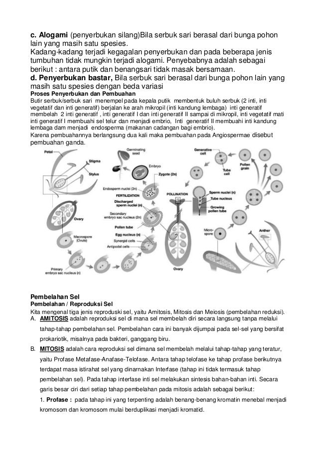 Sistem Reproduksi Makhluk Hidup @SMP CC '14-'15
