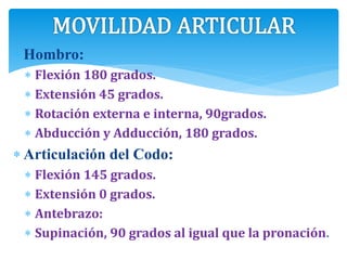  Hombro:
 Flexión 180 grados.
 Extensión 45 grados.
 Rotación externa e interna, 90grados.
 Abducción y Adducción, 180 grados.
 Articulación del Codo:
 Flexión 145 grados.
 Extensión 0 grados.
 Antebrazo:
 Supinación, 90 grados al igual que la pronación.
 