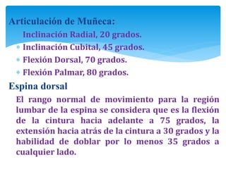 Articulación de Muñeca:
 Inclinación Radial, 20 grados.
 Inclinación Cubital, 45 grados.
 Flexión Dorsal, 70 grados.
 Flexión Palmar, 80 grados.
Espina dorsal
El rango normal de movimiento para la región
lumbar de la espina se considera que es la flexión
de la cintura hacia adelante a 75 grados, la
extensión hacia atrás de la cintura a 30 grados y la
habilidad de doblar por lo menos 35 grados a
cualquier lado.
 