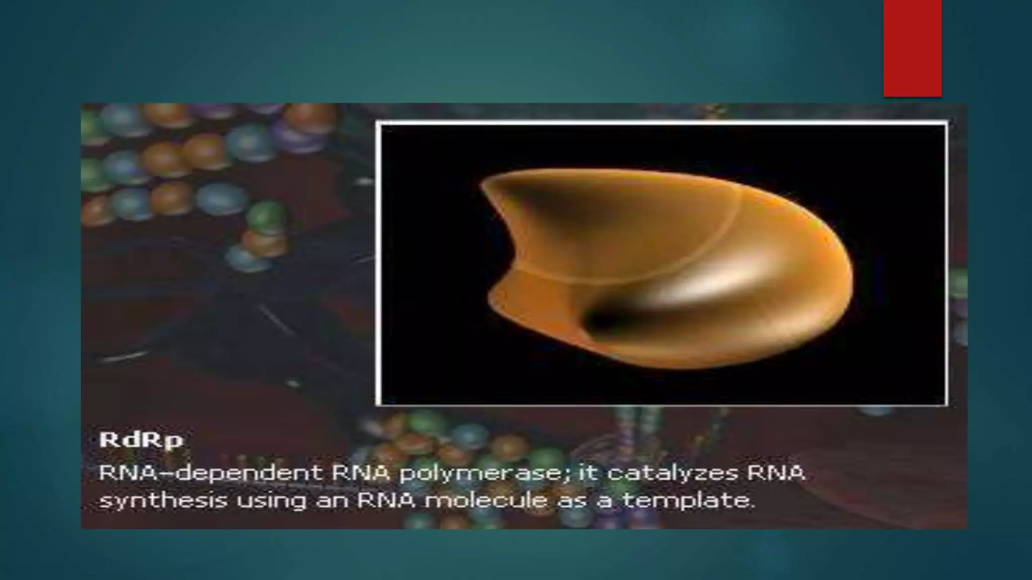 RANi (RNA interference)