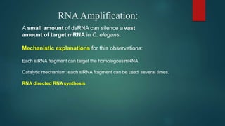 RANi (RNA interference) | PPTX