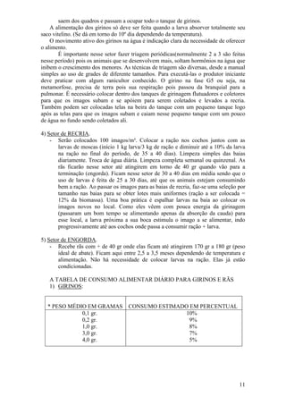 11 
saem dos quadros e passam a ocupar todo o tanque de girinos. 
A alimentação dos girinos só deve ser feita quando a larva absorver totalmente seu saco vitelino. (Se dá em torno do 10º dia dependendo da temperatura). O movimento ativo dos girinos na água é indicação clara da necessidade de oferecer o alimento. É importante nesse setor fazer triagem periódicas(normalmente 2 a 3 são feitas nesse período) pois os animais que se desenvolvem mais, soltam hormônios na água que inibem o crescimento dos menores. As técnicas de triagem são diversas, desde a manual simples ao uso de grades de diferente tamanhos. Para executá-las o produtor iniciante deve praticar com algum ranicultor conhecido. O girino na fase G5 ou seja, na metamorfose, precisa de terra pois sua respiração pois passou da branquial para a pulmonar. É necessário colocar dentro dos tanques de girinagem flutuadores e coletores para que os imagos subam e se apóiem para serem coletados e levados a recria. Também podem ser colocadas telas na beira do tanque com um pequeno tanque logo após as telas para que os imagos subam e caiam nesse pequeno tanque com um pouco de água no fundo sendo coletados ali. 4) Setor de RECRIA. 
- Serão colocados 100 imagos/m². Colocar a ração nos cochos juntos com as larvas de moscas (início 1 kg larva/3 kg de ração e diminuir até a 10% da larva na ração no final do período, de 35 a 40 dias). Limpeza simples das baias diariamente. Troca de água diária. Limpeza completa semanal ou quinzenal. As rãs ficarão nesse setor até atingirem em torno de 40 gr quando vão para a terminação (engorda). Ficam nesse setor de 30 a 40 dias em média sendo que o uso de larvas é feita de 25 a 30 dias, até que os animais estejam consumindo bem a ração. Ao passar os imagos para as baias de recria, faz-se uma seleção por tamanho nas baias para se obter lotes mais uniformes (ração a ser colocada = 12% da biomassa). Uma boa prática é espalhar larvas na baia ao colocar os imagos novos no local. Como eles vêem com pouca energia da girinagem (passaram um bom tempo se alimentando apenas da absorção da cauda) para esse local, a larva próxima a sua boca estimula o imago a se alimentar, indo progressivamente até aos cochos onde passa a consumir ração + larva. 
5) Setor de ENGORDA. 
- Recebe rãs com + de 40 gr onde elas ficam até atingirem 170 gr a 180 gr (peso ideal de abate). Ficam aqui entre 2,5 a 3,5 meses dependendo de temperatura e alimentação. Não há necessidade de colocar larvas na ração. Elas já estão condicionadas. 
A TABELA DE CONSUMO ALIMENTAR DIÁRIO PARA GIRINOS E RÃS 
1) GIRINOS: 
* PESO MÉDIO EM GRAMAS 
CONSUMO ESTIMADO EM PERCENTUAL 
0,1 gr. 0,2 gr. 1,0 gr. 3,0 gr. 4,0 gr. 
10% 9% 8% 7% 5% 
 