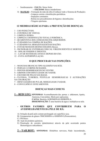 20 
- Sombreamento – FALTA: Stress Solar. 
- EXCESSO: Baixo metabolismo. 
4) MANEJO: - Formação de mão-de-obra (Conhecer todo o Sistema de Produção). 
- Limpeza correta e desinfecções periódicas. - Inspeções constantes. - Rotina nos procedimentos de higiene e desinfecçõao. - Triagens oportunas. 12 MEDIDAS BÁSICAS PARA A PREVENÇÃO DE DOENÇAS: 1 – USO PEDILÚVIOS. 2 – CONTROLE DE VISITAS. 3 – LIMPEZA DIÁRIA. 4 – LIMPEZA E DESINFECÇÃO TOTAL E PERIÓDICA. 5 – QUARENTENA DOS ANIMAIS RECÉM-ADQUIRIDOS. 6 – CUIDADOS NA COMPRA DE RAÇÕES. 7 – CUIDADOS NA ARMAZENAGEM DAS RAÇÕES. 8 – EVITAR MANEJOS DESNECESSÁIOS (Stress). 9 – INCINERAR OU ENTERRAR COM CAL VIRGEM DOENTES E MORTOS. 10 – ISOLAR FERIDOS E DOENTES. 11 – LAVAR MATERIAIS ANTES E DEPOIS DO USO. 12 – EVITA SUPERPOPULAÇÃO. O QUE PROCURAR NAS INSPEÇÕES: 1 – MANCHAS BRANCAS TIPO ALGODÃO NAS RÃS. 2 – PERNAS E CORPOS INCHADOS. 3 – PONTOS HEMORRÁGICOS NO VENTRE. 4 – GIRINOS COM DIFICULDADE DE NADAR. 5 – EXCESSO DE PELES NAS BAIAS. 6 - ÚLCERAS, TUMORES, PÚSTULAS HEMORRÁGICAS E ALTERAÇÕES NA COLORAÇÃO 7 – DIFICULDADES DE PULAR, MERGULHAR E NADAR. 8 – CONVULSÕES E ESTICAMENTOS. DOENÇAS MAIS COMUNS 1 – RED LEG: SINTOMAS: Avermelhamento das pernas e abdomem, Apatia, Anorexia, Convulsões, Morte por septicemia. CAUSA: Bactéria AEROMONAS HIDRÓPILA. DISSEMINAÇÃO: É uma bactéria da água e multiplica-se nela. 
- OUTROS FATORES QUE CONTRIBUEM PARA O AVERMELHAMENTO DA PELE DE RÃ: 
A) Irritação da pele pelo contato prolongado em superfície seca. 
B) Ectoparasitas do gênero TRICHODINA e OODINIVI (Protozoários). 
C) PH baixo. 
D) Ação de produtos químicos. 
E) Penetração de cercária (platelmintos) através da pele ocorrendo pontos Hemorrágicos subcutâneos. 
2 – TAILROT: SINTOMAS: Distúrbios nervosos, Nado incoordenado,  