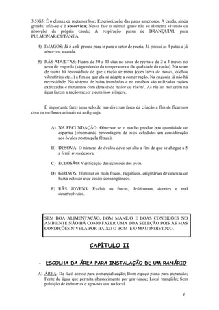 6 
3.5)G5: É o clímax da metamorfose; Exteriorização das patas anteriores; A cauda, ainda grande, afila-se e é absorvida; Nessa fase o animal quase não se alimenta vivendo da absorção da própria cauda; A respiração passa de BRANQUIAL para PULMONAR/CUTÂNEA. 
4) IMAGOS: Já é a rã pronta para ir para o setor de recria; Já possui as 4 patas e já absorveu a cauda. 
5) RÃS ADULTAS: Ficam de 30 a 40 dias no setor de recria e de 2 a 4 meses no setor de engorda ( dependendo da temperatura e da qualidade da ração). No setor de recria há necessidade de que a ração se mexa (com larva de mosca, cochos vibratórios etc...) a fim de que ela se adapte a comer ração. Na engorda já não há necessidade. No sistema de baias inundadas e no ranabox são utilizadas rações extruzadas e flutuantes com densidade maior de rãs/m². As rãs ao mexerem na água fazem a ração mexer e com isso a ingere. 
É importante fazer uma seleção nas diversas fases da criação a fim de ficarmos com os melhores animais na anfigranja: 
A) NA FECUNDAÇÃO: Observar se o macho produz boa quantidade de esperma (observando percentagem de ovos eclodidos em consideração aos óvulos postos pela fêmea). 
B) DESOVA: O número de óvulos deve ser alto a fim de que se chegue a 5 a 6 mil ovos/desova. 
C) ECLOSÃO: Verificação das eclosões dos ovos. 
D) GIRINOS: Eliminar os mais fracos, raquíticos, originários de desovas de baixa eclosão e de casais consangüíneos. 
E) RÃS JOVENS: Excluir as fracas, defeituosas, doentes e mal desenvolvidas. 
SEM BOA ALIMENTAÇÃO, BOM MANEJO E BOAS CONDIÇÕES NO AMBIENTE NÃO HÁ COMO FAZER UMA BOA SELEÇÃO POIS AS MAS CONDIÇÕES NIVELA POR BAIXO O BOM E O MAU INDIVIDUO. CAPÍTULO II 
- ESCOLHA DA ÁREA PARA INSTALAÇÃO DE UM RANÁRIO 
A) ÁREA: De fácil acesso para comercialização; Bom espaço plano para expansão; Fonte de água que permita abastecimento por gravidade; Local tranqüilo; Sem poluição de industrias e agro-tóxicos no local. 
 