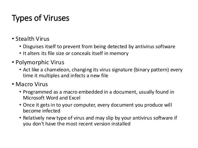 computer virus thesis