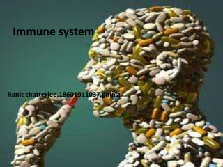 Immune system 
Ranit chatterjee,18601911037,gnipst 
 