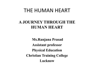 THE HUMAN HEART
A JOURNEY THROUGH THE
HUMAN HEART
Ms.Ranjana Prasad
Assistant professor
Physical Education
Christian Training College
Lucknow
 