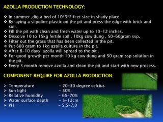 Process For Azolla RAWE PPT | PPTX