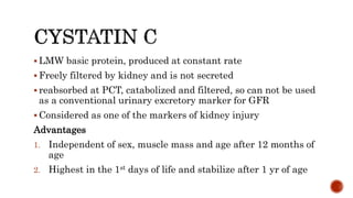  LMW basic protein, produced at constant rate
 Freely filtered by kidney and is not secreted
 reabsorbed at PCT, catabolized and filtered, so can not be used
as a conventional urinary excretory marker for GFR
 Considered as one of the markers of kidney injury
Advantages
1. Independent of sex, muscle mass and age after 12 months of
age
2. Highest in the 1st days of life and stabilize after 1 yr of age
 