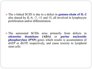  The x-linked SCID is due to a defect in gamma-chain of IL-2
also shared by IL-4, -7, -11 and 15, all involved in lymphocyte
proliferation and/or differentiation.
 The autosomal SCIDs arise primarily from defects in
adenosine deaminase (ADA) or purine nucleoside
phosphorylase (PNP) genes which results is accumulation of
dATP or dGTP, respectively, and cause toxicity to lymphoid
stem cells
 