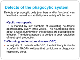 Defects of the phagocytic system
Defects of phagocytic cells (numbers and/or functions) can
lead to increased susceptibility to a variety of infections.
1- Cyclic neutropenia:
It is marked by low numbers of circulating neutrophil
approximately every three weeks. The neutropenia lasts
about a week during which the patients are susceptible to
infection. The defect appears to be due to poor regulation
of neutrophil production.
2- Chronic granulomatous disease (CGD):
 In majority of patients with CGD, the deficiency is due to
a defect in NADPH oxidase that participate in phagocytic
respiratory burst.
 
