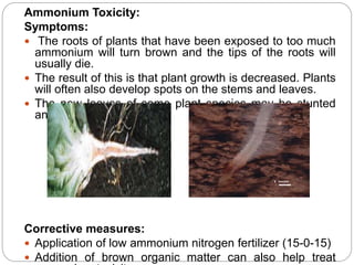 chamomile tea for plants Steven Smith Teamaker Meadow Herbal Tea main image 0