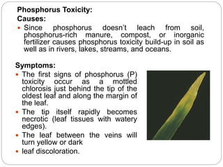 toxicity causes, effect and management | PPTX
