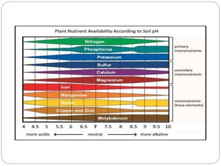 toxicity causes, effect and management | PPTX