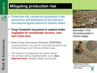 Agricultural Transformation in Eastern India: Micro-level Evidences