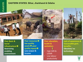 Agricultural Transformation in Eastern India: Micro-level Evidences