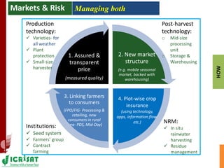 Asia Regional Planning Meeting-Agricultural Markets and Risks in Asia:Challenges to Manage both for Dryland Cereals & Pulses by Dr Ranjit Kumar