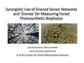Synergistic Use of Ground Sensor Networks
and ‘Drones’ for Measuring Forest
Photosynthetic Biophysics
Cassidy Rankine, PhD Candidate
Arturo-Sanchez-Azofeifa (PI)
U of A’s Center for Earth Observation Sciences
 