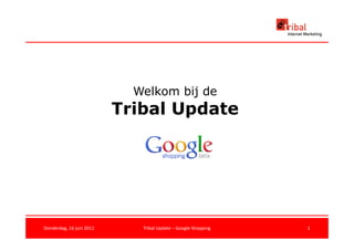 Welkom bij de
                          Tribal Update




Donderdag, 16 juni 2011      Tribal Update – Google Shopping   1
 