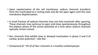 • Upon repolarization of the cell membrane, sodium channels transform
from the inactivated to a resting state and do not open again until the next
membrane depolarization.
• A small fraction of sodium channels may not fully inactivate after opening.
These channels may continue to open and close spontaneously throughout
the plateau phase of the action potential at a time when sodium channels
typically remain closed.
• Na+ channels that exhibit slow or delayed inactivation in phase 2 and 3 of
cardiac action potential – late Na+
• Comprised of ~1% of all Na+ channels in a healthy cardiomyocyte
 