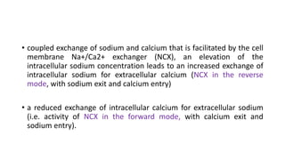 • coupled exchange of sodium and calcium that is facilitated by the cell
membrane Na+/Ca2+ exchanger (NCX), an elevation of the
intracellular sodium concentration leads to an increased exchange of
intracellular sodium for extracellular calcium (NCX in the reverse
mode, with sodium exit and calcium entry)
• a reduced exchange of intracellular calcium for extracellular sodium
(i.e. activity of NCX in the forward mode, with calcium exit and
sodium entry).
 