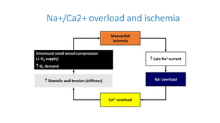 Na+/Ca2+ overload and ischemia
 Late Na+ current
 Diastolic wall tension (stiffness)
Intramural small vessel compression
( O2 supply)
 O2 demand
Na+ overload
Ca2+ overload
Myocardial
ischemia
 
