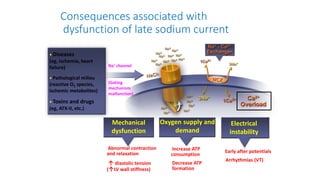 Consequences associated with
dysfunction of late sodium current
• Diseases
(eg, ischemia, heart
failure)
• Pathological milieu
(reactive O2 species,
ischemic metabolites)
• Toxins and drugs
(eg, ATX-II, etc.)
Na+ channel
(Gating
mechanism
malfunction)
• Increase ATP
consumption
• Decrease ATP
formation
Oxygen supply and
demand
• Abnormal contraction
and relaxation
• ↑ diastolic tension
(↑LV wall stiffness)
Mechanical
dysfunction
• Early after potentials
• Arrhythmias (VT)
Electrical
instability
 