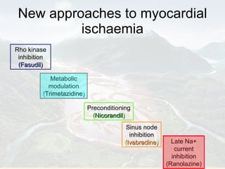 New approaches to myocardial ischaemia Rho kinase inhibition  (Fasudil) Metabolic modulation  ( Trimetazidine ) Preconditioning  ( Nicorandil ) Sinus node inhibition  ( Ivabradine ) Late Na+ current inhibition (Ranolazine) 