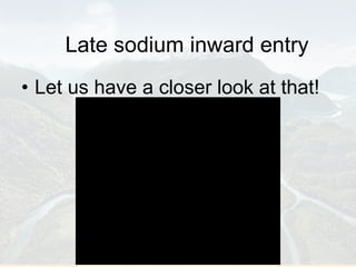 Late sodium inward entry Let us have a closer look at that!  