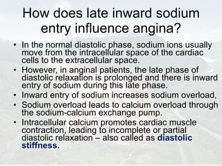 How does late inward sodium entry influence angina? In the normal diastolic phase, sodium ions usually move from the intracellular space of the cardiac cells to the extracellular space. However, in anginal patients, the late phase of diastolic relaxation is prolonged and there is inward entry of sodium during this late phase. Inward entry of sodium increases sodium overload, Sodium overload leads to calcium overload through the sodium-calcium exchange pump. Intracellular calcium promotes cardiac muscle contraction, leading to incomplete or partial diastolic relaxation – also called as  diastolic stiffness. 