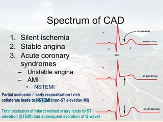 Spectrum of CAD Silent ischemia Stable angina Acute coronary syndromes Unstable angina AMI NSTEMI STEMI Partial occlusion /  early recanalization / rich collaterals leads to NSTEMI (non-ST elevation MI) Total occlusion of infarct related artery leads to ST elevation (STEMI) and subsequent evolution of Q waves 