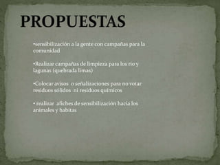 •sensibilización a la gente con campañas para la
comunidad
•Realizar campañas de limpieza para los rio y
lagunas (quebrada limas)
•Colocar avisos o señalizaciones para no votar
residuos sólidos ni residuos químicos
• realizar afiches de sensibilización hacia los
animales y habitas
 