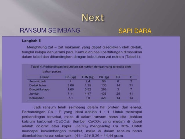 Ransum seimbang sapi potong