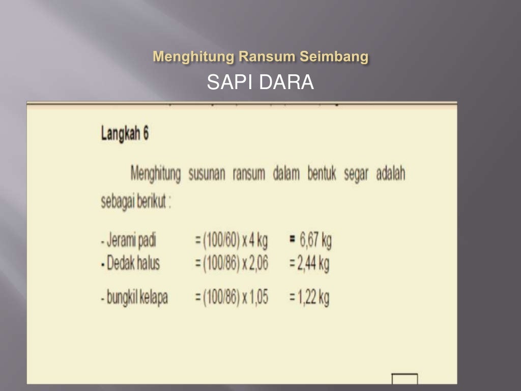 Ransum seimbang sapi potong
