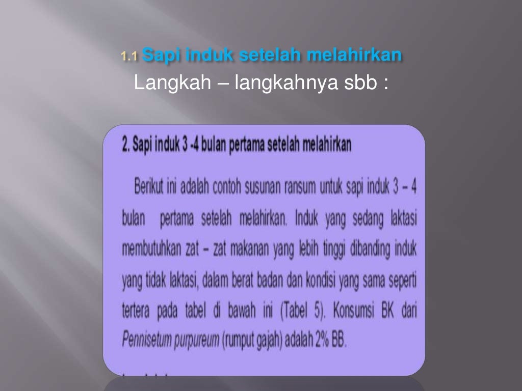 Ransum seimbang sapi potong