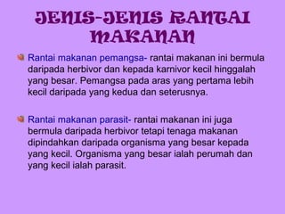 Kepentingan Siratan Makanan Kepada Alam Semula Jadi Tahun 5