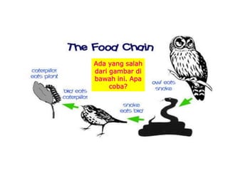 Ada yang salah
dari gambar di
bawah ini. Apa
coba?
 