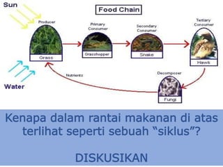 Kenapa dalam rantai makanan di atas
terlihat seperti sebuah “siklus”?
DISKUSIKAN
 