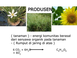 ( tanaman ) - energi komunitas berasal
dari senyawa organik pada tanaman
- ( Rumput di jaring di atas )
PRODUSEN
6 CO2
+ 6H2
O C6
H12
O6
+ 6O2
 