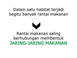 Dalam satu habitat terjadi
begitu banyak rantai makanan
Rantai makanan saling
berhubungan membentuk
JARING-JARING MAKANAN
 