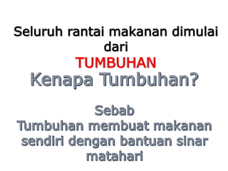 Seluruh rantai makanan dimulai
dari
TUMBUHAN
 