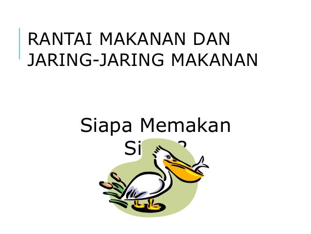 Rantai makanan Rantai makanan