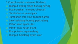 Ulat Rantai RANTAI MAKANAN.pptx