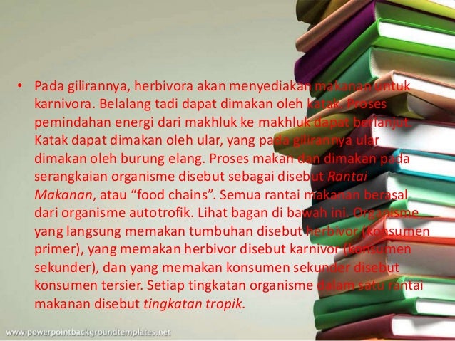 Rantai makanan dan jaring jaring makanan Rantai makanan dan jaring jaring makanan