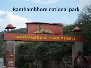 Ranthambhore national park
 